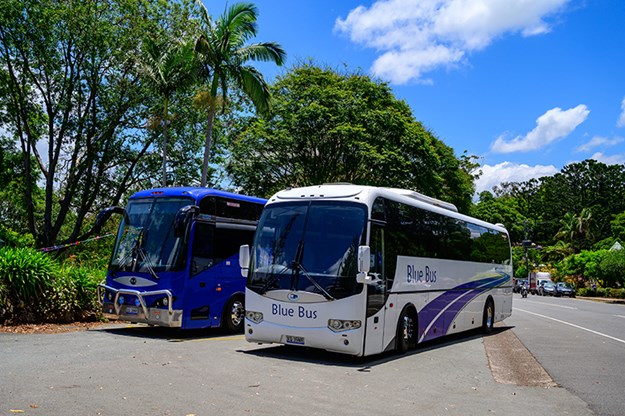 20_BlueBus_RZ6_5257_HR.jpg