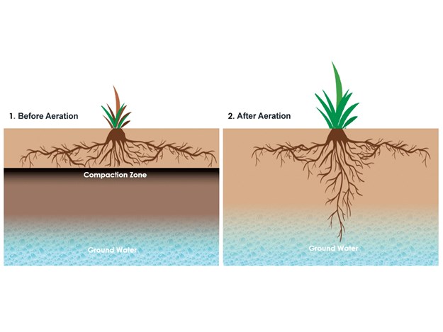 Before-&-After-Aeration.jpg