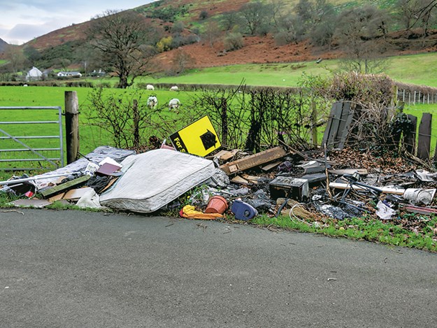 AdobeStock_239221538_Credit Alan1951.jpg