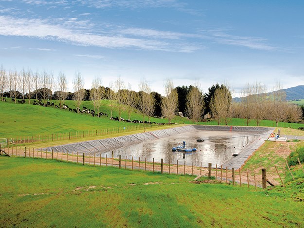 Effluent Pond DairyNZ.jpg