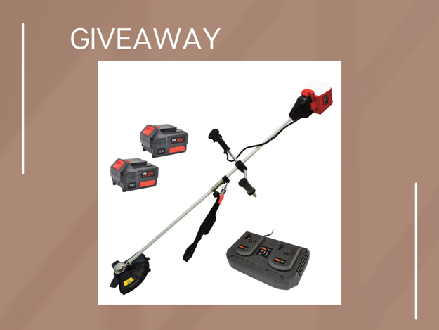 DOWFTM competition - website (800 × 600 px) (5).png