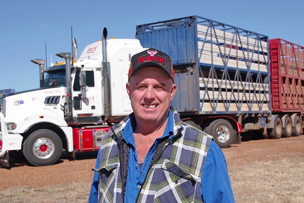 Hauling cattle along the Warrego | News