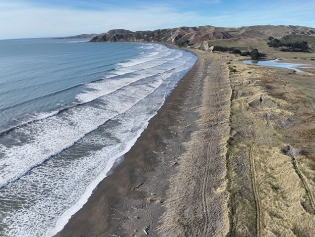 East_Coast_Beach_Dunes_Vehicle_Tracks_Habitat_GCI.jpeg