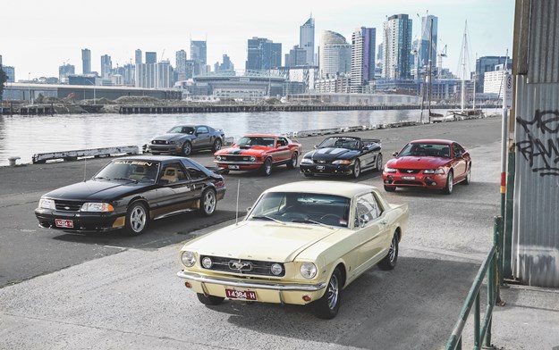 MUSTANGS-24.JPG