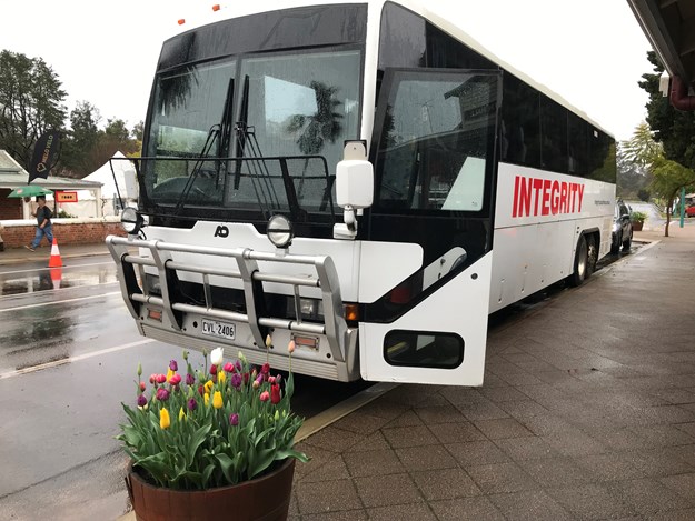 Coach with Tulips at Nannup.jpg