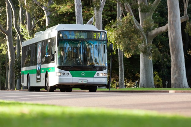 Transperth bus 3 (2).JPG