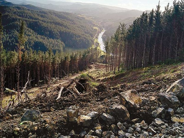 Forestry-logging-tolaga-bay-gisborne-storm-1.jpg