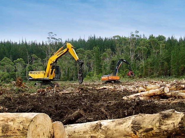 Logging-wood-options-NZ.jpg