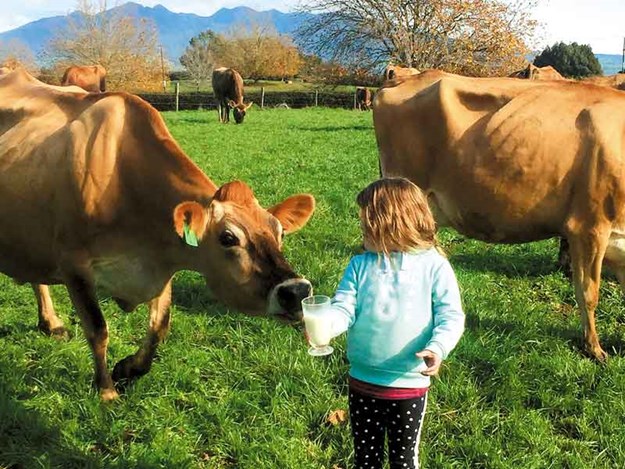Girl-with-milk-and-cow.jpg