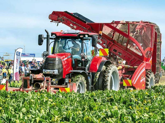 SIAFD-2017-4-Watching-beet-harvesting.jpg