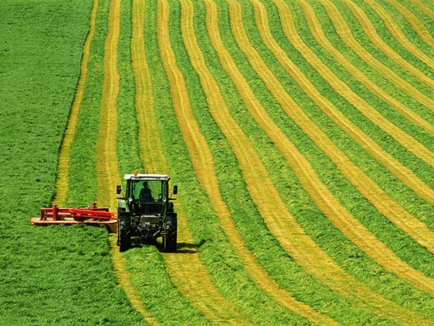 Federated-Farmers-expresses-their-disapproval-over-governments--plan-to-address-climate-change.jpg