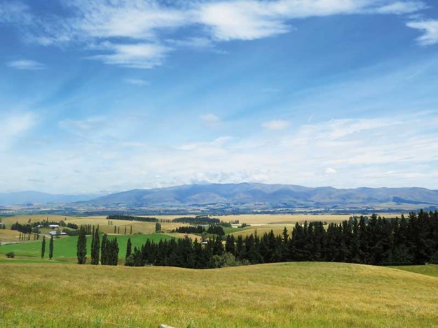 NZ-Water-tax-off-the-table-for-now.jpg