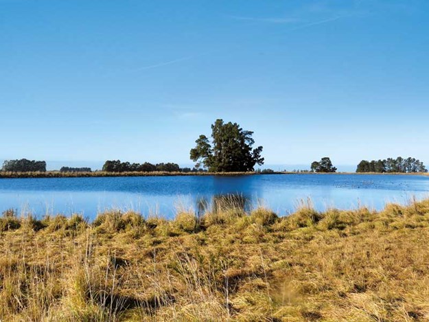 New-dam-and-pond-regulations-will-affect-many-New-Zealand-farmers.jpg