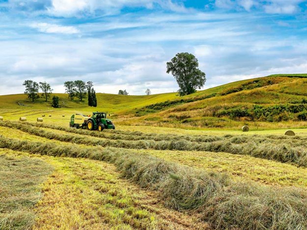 farming-New-Zealand.jpg