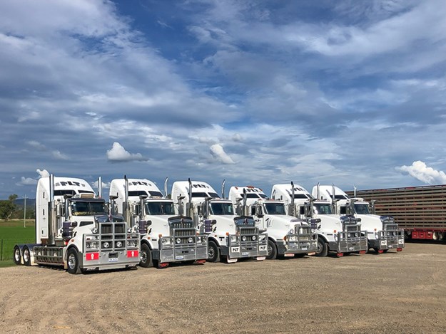 Current MLT fleet.jpg