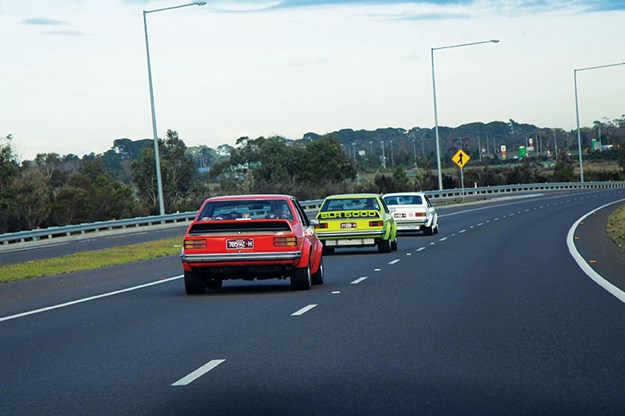 torana-cruise-8623.jpg