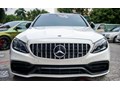 EURO EMPIRE AUTO MERCEDES PANAMERICANA GT AMG FRONT GRILLE FOR W205 FL