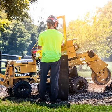 2023 RAYCO RG55 WHEELED for sale (refcode TA1199583)