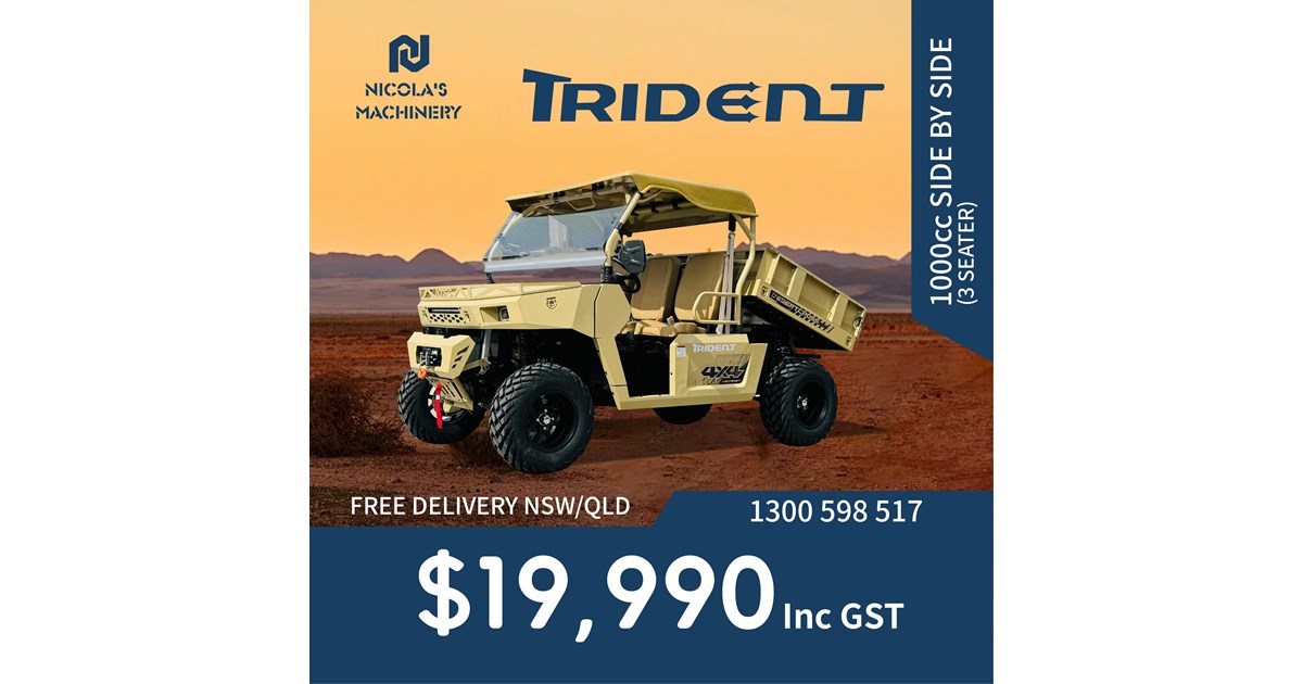 2024 TRIDENT 1000CC SIDE BY SIDE Desert Cross for sale (refcode TA1226050)