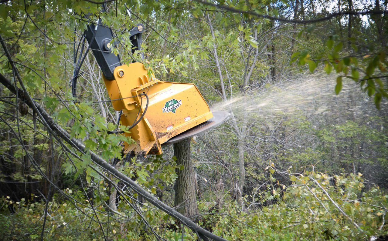 DIAMOND MOWERS EX DISC MULCHER PRO X 36? for sale (refcode TA1177112)