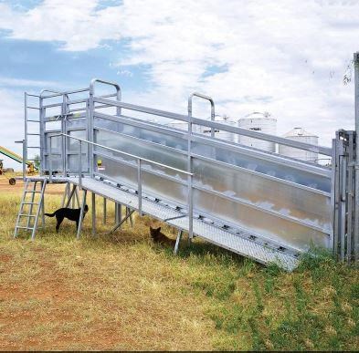 ARROWQUIP 6.5M CATTLE LOADING RAMP (HEAVY DUTY) for sale (refcode ...