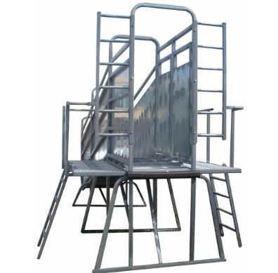 ARROWQUIP 6.5M CATTLE LOADING RAMP (HEAVY DUTY) for sale (refcode ...