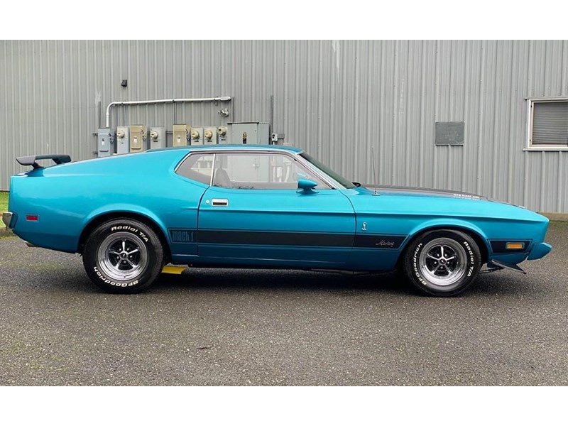 ford mustang mach 1 875460 010