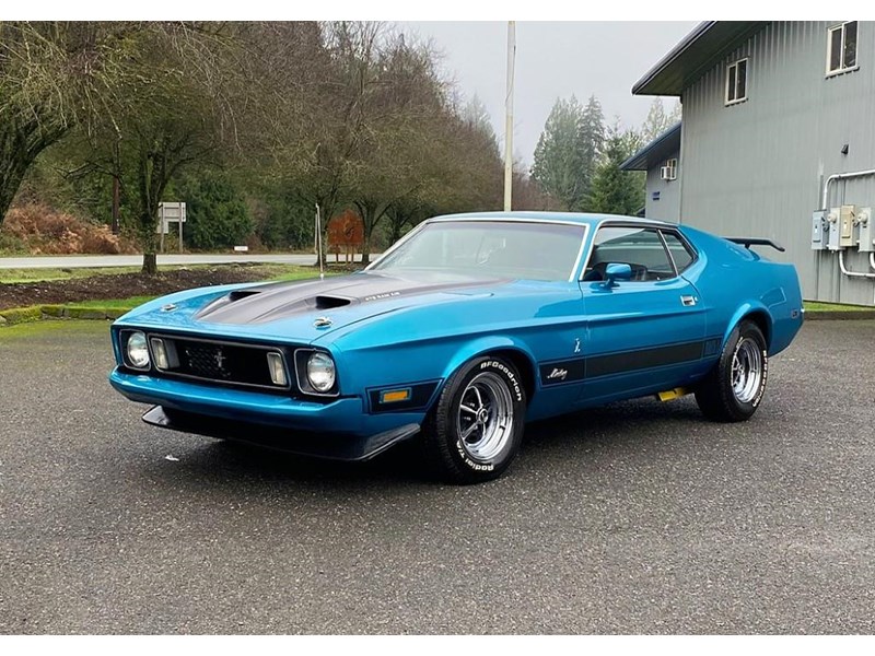 ford mustang mach 1 875460 001
