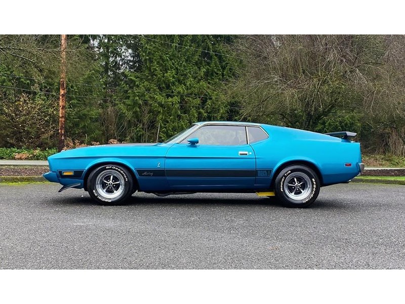 ford mustang mach 1 875460 003