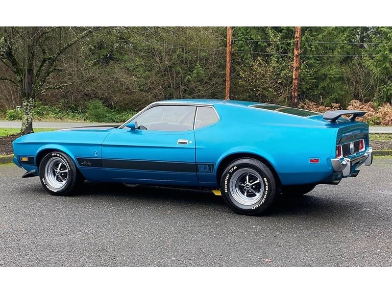 ford mustang mach 1 875460 004