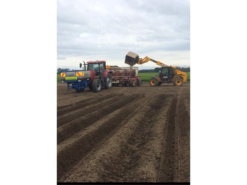 HARRISTON 4006 Potato Planter for sale