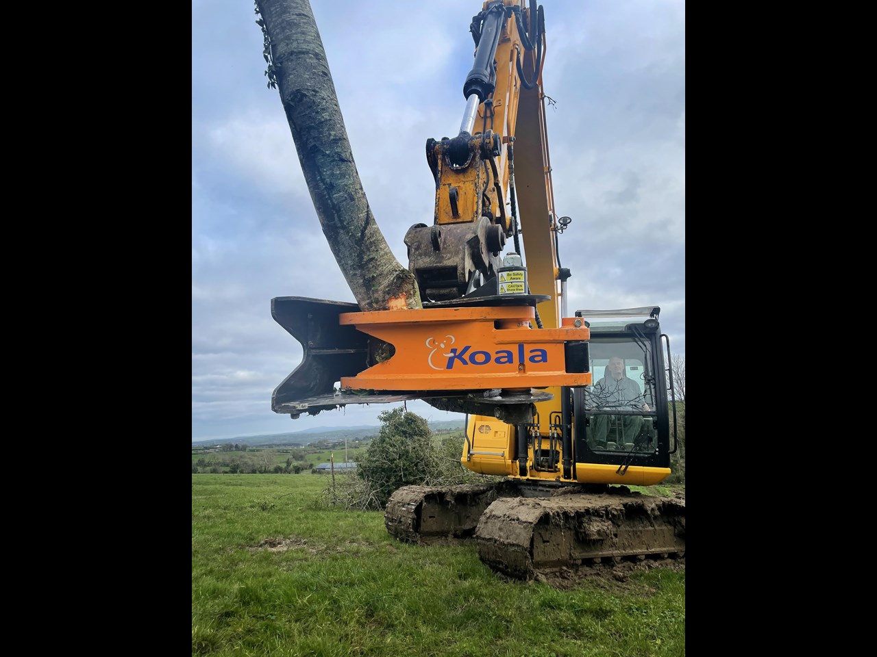 MDE KOALA 300MM TREE SHEAR KOALA 300MM TREE SHEAR for sale