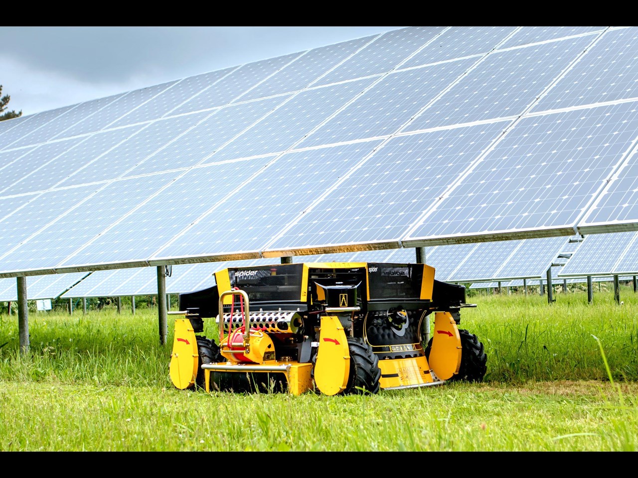 SPIDER 2SGS SOLAR FARM MOWER for sale