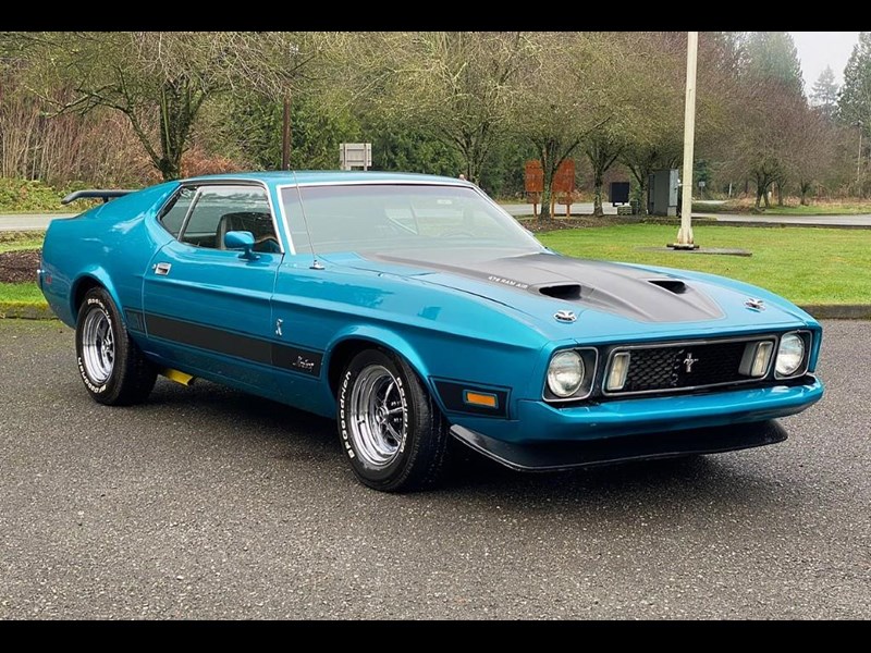 ford mustang mach 1 875460 015