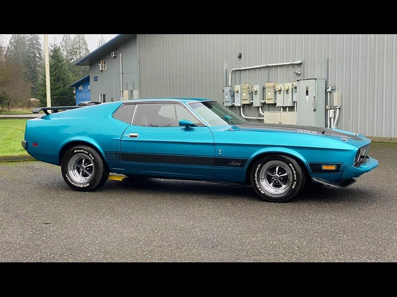 ford mustang mach 1 875460 017