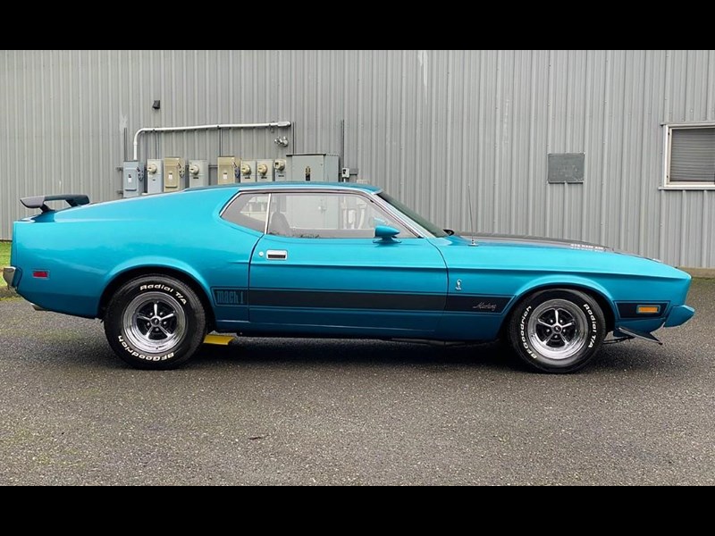 ford mustang mach 1 875460 019