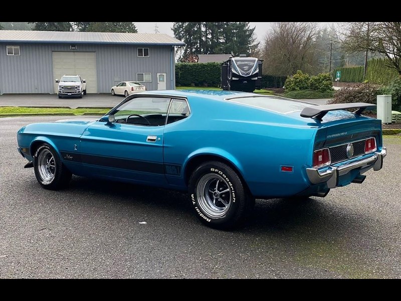 ford mustang mach 1 875460 009