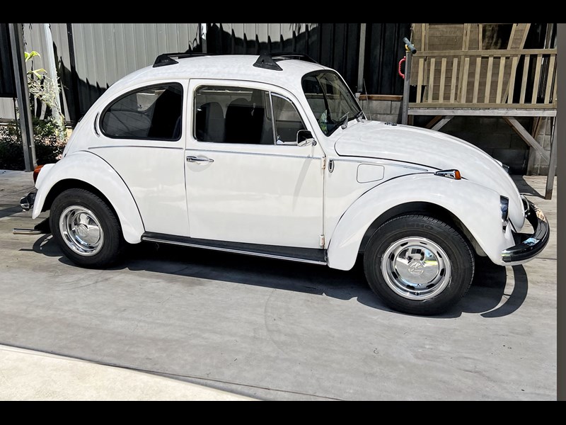 volkswagen beetle 876303 011