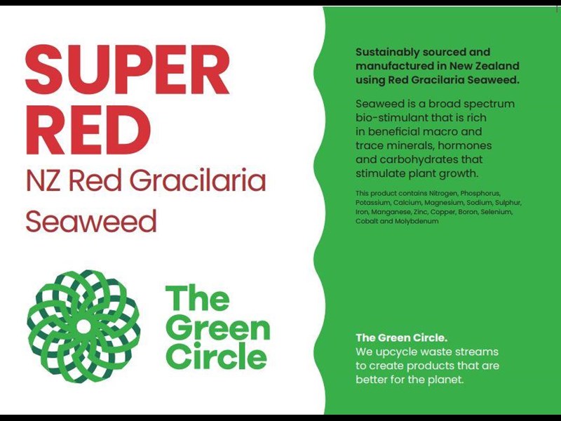 nz red nz red gracilaria seaweed 956153 001