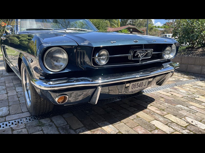 ford mustang 973565 059