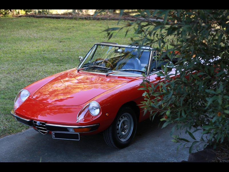 alfa romeo spider 991626 097