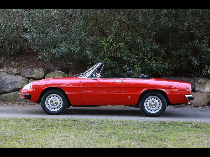 alfa romeo spider 991626 005