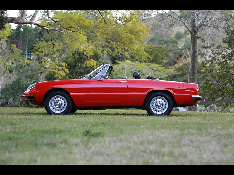 alfa romeo spider 991626 127