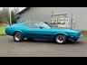 ford mustang mach 1 875460 018