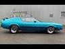 ford mustang mach 1 875460 020