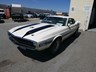 ford mustang 854423 004