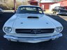 ford mustang 877873 010