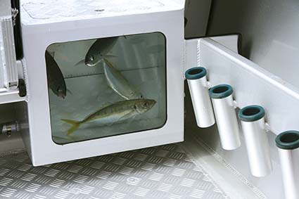 Surtees Workmate livebait tank