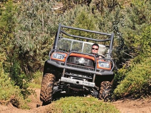 KUBOTA RTV-X1120D #3