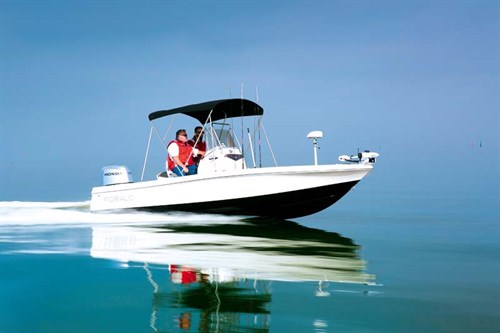 Robalo Cayman 206